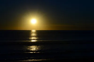 DSC_1272 (Large).JPG